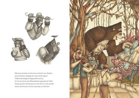 Sélection été 2023 : nos coups de ❤ albums jeunesse La-veritable-histoire-de-King-Kong