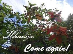 CERISES TREMPÉES DANS DU CHOCOLAT / CHOCOLATE-COVERED CHERRIES / CEREZAS BAÑADAS EN CHOCOLATE / كرز مغموس في الشوكولاته CERISES TREMPÉES DANS DU CHOCOLAT / CHOCOLATE-COVERED CHERRIES / CEREZAS BAÑADAS EN CHOCOLATE / كرز مغموس في الشوكولاته