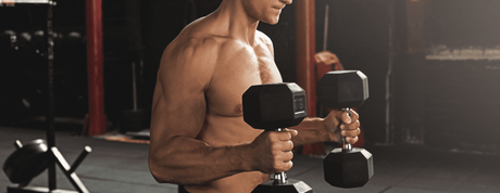 musculation biceps