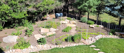 Stratégie anti-chevreuils