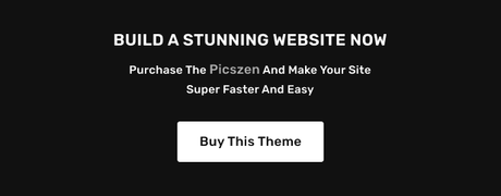 Picszen - Thème WordPress pour la photographie - 7