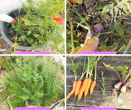 Carottes rôties (romarin, gingembre et estragon original) et leur condiment à l'ail (Vegan)