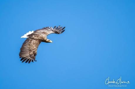 L’île de Skye ou sur un air de « Skye boat song »