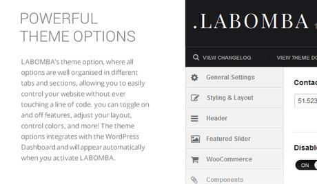 Labba - Thème WordPress polyvalent et réactif - 7
