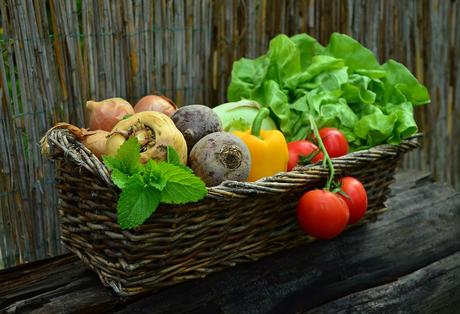 Quels légumes planter au potager en août pour une récolte abondante ?