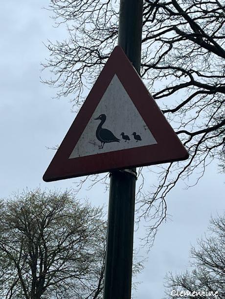 Vacances aux Pays-Bas avril 2023 - Laren Vacances aux Pays-Bas avril 2023 - Laren