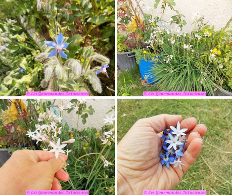 Salade de haricots verts, tomates confites et chou-rave (Vegan)