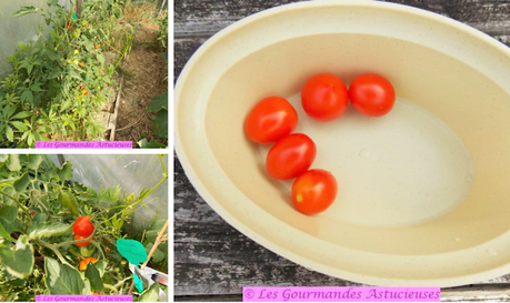 Salade de haricots verts, tomates confites et chou-rave (Vegan)