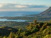 Découvrez avantages pour votre santé vivre L’île Maurice 2023