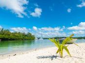 raisons pour lesquelles familles expatriées choisissent l’île Maurice créer leur entreprise élever famille
