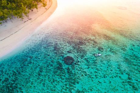 Comment l’île Maurice Favorise l’Entrepreneuriat et l’Innovation