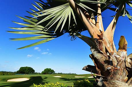 Retraite à l’île Maurice – une opportunité de vivre en harmonie avec soi-même