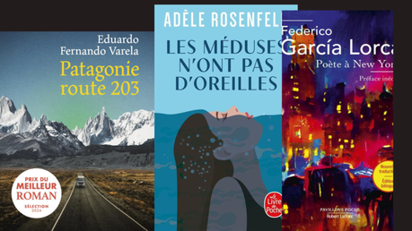 Poches été 2023 : nos lectures coup de 🤍 (2) : Patagonie route 203,les méduses n'ont pas d'oreille, Poète à NY dvd (1)