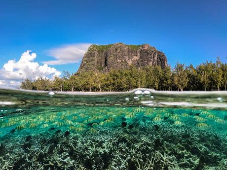 L’expatriation à l’île Maurice – Trouvez le logement parfait en un rien de temps