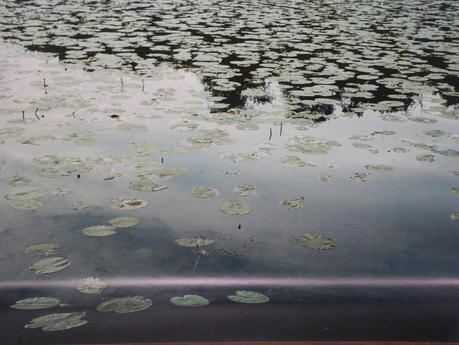 Kate Barry au Musée Niepce DSCN0956