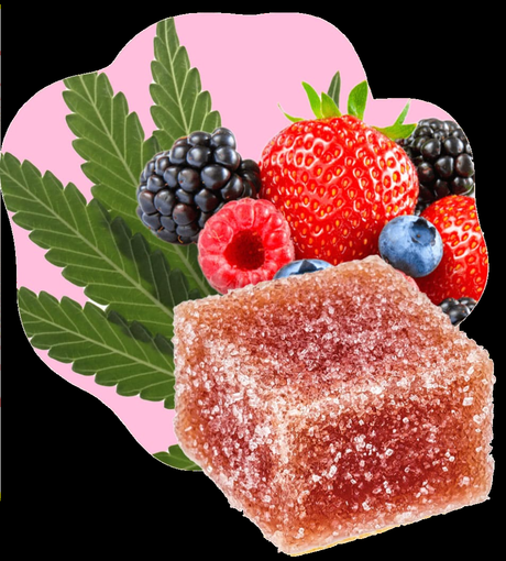 Équilibre CBD: l’alliance du luxe et du bien-être avec la nature