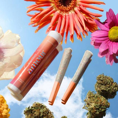 Équilibre CBD: l’alliance du luxe et du bien-être avec la nature