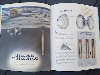 Les petites leçons de choses du bord de mer 💙💙💙