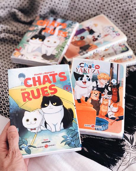 Manga seinen : les adorables chats de chez Doki Doki Manga seinen : les adorables chats de chez Doki Doki