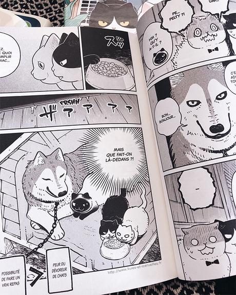 Manga seinen : les adorables chats de chez Doki Doki