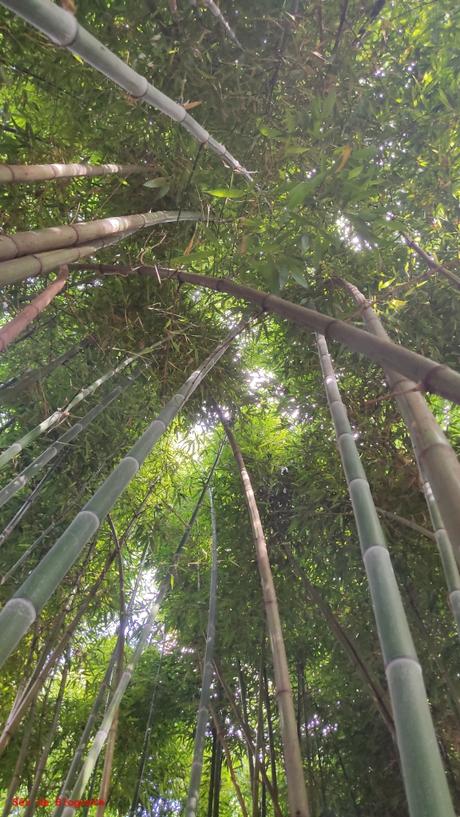 Projet 52-2023 #30 – S’abriter Projet 52-2023 #30 – S’abriter