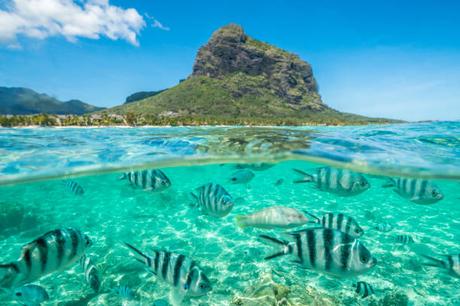 Apprendre le Créole – Un Plus pour votre Expatriation à l’île Maurice