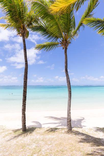 Apprendre le Créole – Un Plus pour votre Expatriation à l’île Maurice