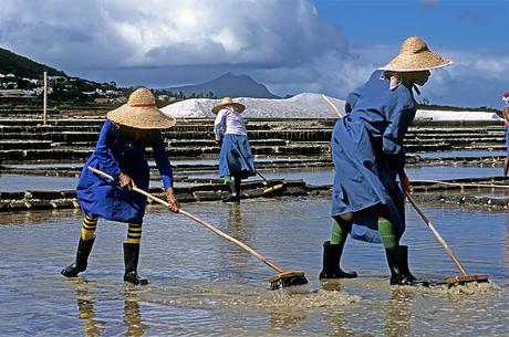 Les avantages de monter son entreprise à l’île Maurice