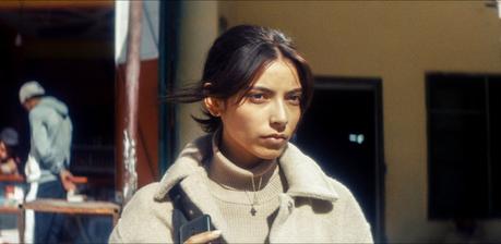 Animalia_FTR_HD-OAR-239_24FPS_AR-FR_REC709_OV-20_ProResLT