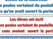 Betisiers juste pour sourire