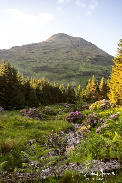 Départ vers Glencoe et Edimbourg ! Départ vers Glencoe et Edimbourg !