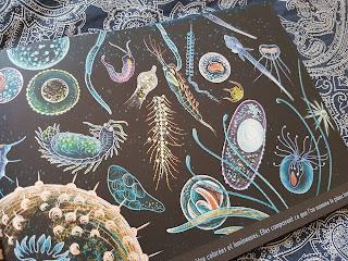 L'océan, une nuit... Isabelle Simler 💙💙💙