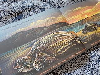 L'océan, une nuit... Isabelle Simler 💙💙💙