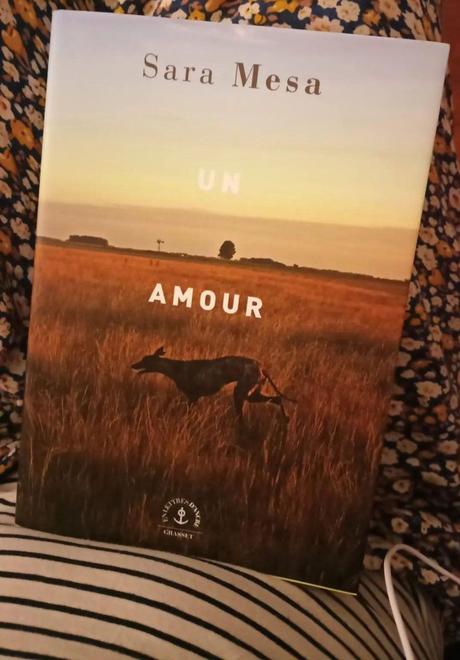 Sara Mesa – Un amour *** Sara Mesa – Un amour ***