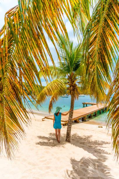 Pourquoi de Plus en Plus de Suisses Choisissent l’Île Maurice pour s’Expatrier Pourquoi de Plus en Plus de Suisses Choisissent l’Île Maurice pour s’Expatrier