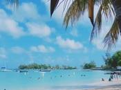 avantages monter entreprise l’île Maurice pour entrepreneurs herbe