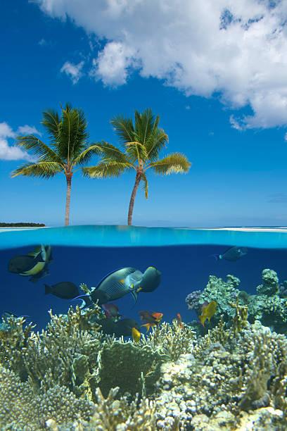 Les avantages de monter son entreprise à l’île Maurice pour les entrepreneurs en herbe Les avantages de monter son entreprise à l’île Maurice pour les entrepreneurs en herbe