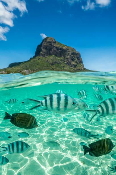 Pourquoi l’île Maurice est l’endroit parfait pour une retraite santé en couple