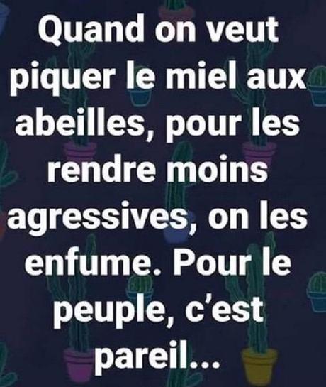 Riposte médiatique N°48