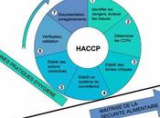 Comprendre principes formation HACCP
