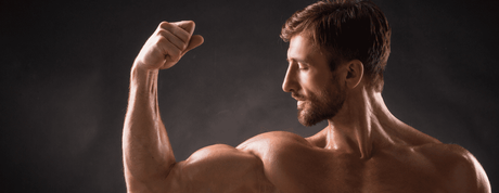 muscle biceps