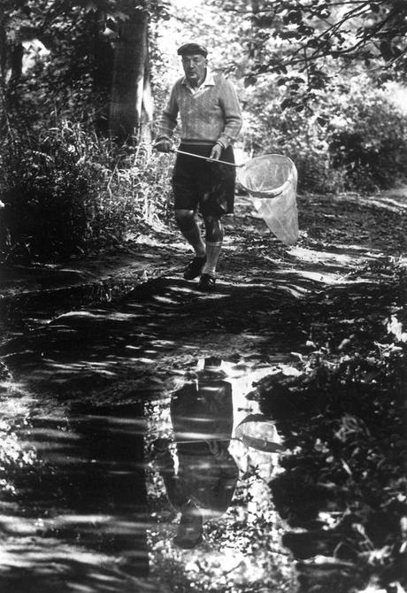 feuillages, l’art et les puissances du végétal, de Clélia Nau (éd. Hazan), août 2023 carl-mydans-vladimir-nabokov,-novelist-and-lepidopterist,-catching-butterflies-in-ithaca,-ny