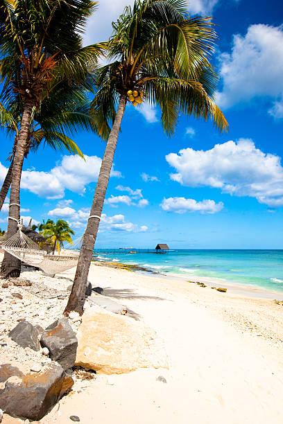 S’expatrier à l’île Maurice pour créer une entreprise : une opportunité unique S’expatrier à l’île Maurice pour créer une entreprise : une opportunité unique