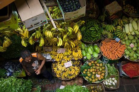 S’expatrier à l’île Maurice pour créer une entreprise : une opportunité unique S’expatrier à l’île Maurice pour créer une entreprise : une opportunité unique