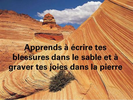 Divers - histoire d'amitié