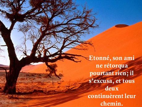 Divers - histoire d'amitié