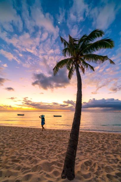 L’île Maurice – Un Spot Idéal pour les Nomades Digitaux L’île Maurice – Un Spot Idéal pour les Nomades Digitaux