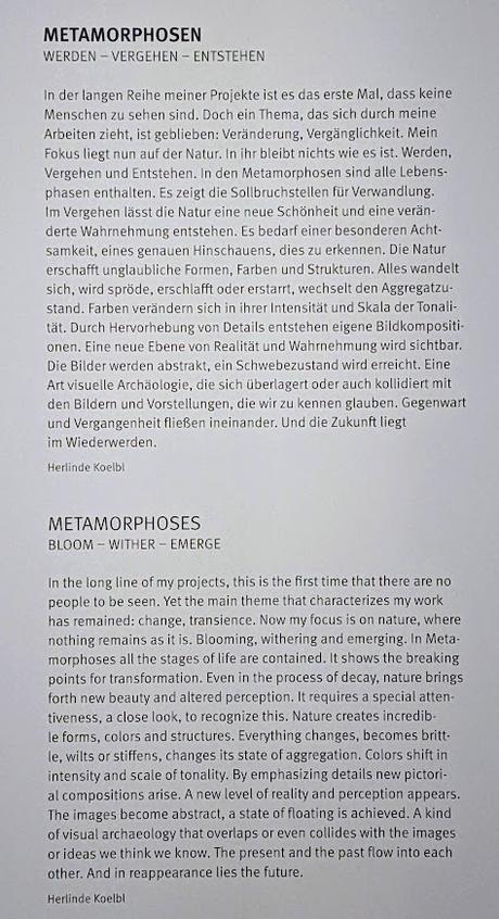 Flower Power Munich 2023 — Métamorphoses, photographies de Herlinde Koelbl — Une exposition au Bayerisches National Museum