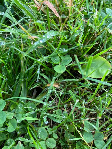 RJbm+hEQSXqm5NM8jaGHeg