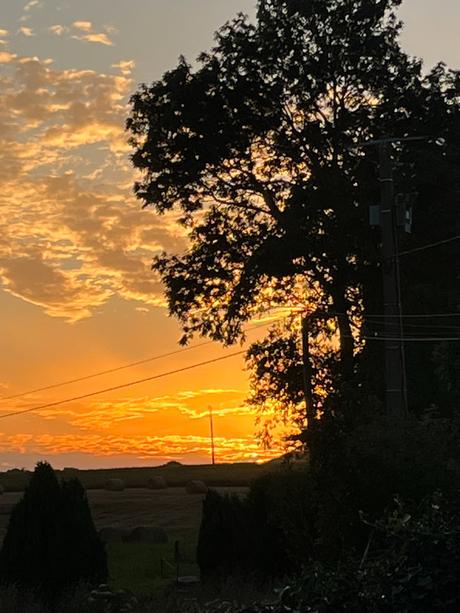 qGzhsrc9SvCOjRkIqRTmVg